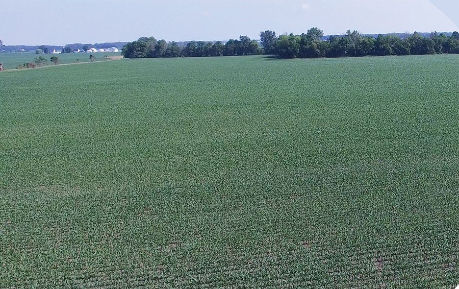 PRIME CENTRAL INDIANA FARMLAND AUCTION - 397+/- ACRES OFFERED IN 5 TRACTS IN CASS COUNTY, INDIANA